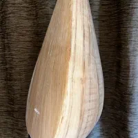 دوتار جنوب خراسان|سازهای سنتی|مشهد, امام خمینی|دیوار