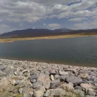 زمین-و-زمین-خونه-و-باغ-گل