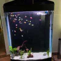 اکواریوم L1000دلسا