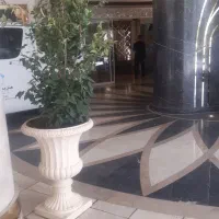 راننده حرفه ای با اتومبیل جهت هتل
