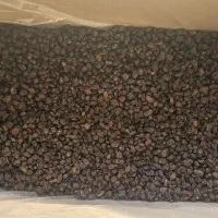 کشمش پلویی آفتاب خشک|خوردنی و آشامیدنی|تاکستان, |دیوار