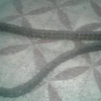 زنجیردوبل صنعتی|ابزارآلات|دزفول, |دیوار