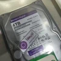 هارد4ترا بنفش