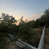 فردش زمین در صورت