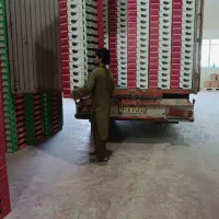 خاور مخصوص جبجای  اثاثیه منزل و مبلمان مدیریت برنا|خدمات حمل و نقل|جیرفت, |دیوار
