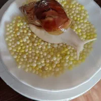 سلام فروش حلزون از۱ماه تامولد|خزنده|خرمآباد, |دیوار