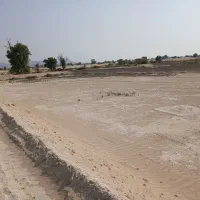 زمین کشاورزی گزیر  نزدیک گاوداری برکت