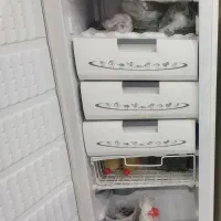 فریزر ارج چهار میلیون و ششصد|یخچال و فریزر|بوشهر, |دیوار