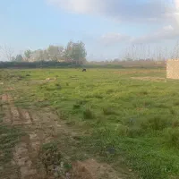 زمین ۱۶۹ متری فلکده|فروش زمین و ملک کلنگی|رشت, سلیمانداراب|دیوار