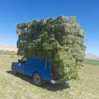 فروش بیده کاه نرمه بنجه پخل گندم پرس یونجه گندم