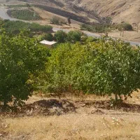 زمین، باغ