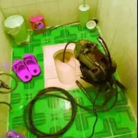 لوله بازکنی شبانه روزی۱۰۰٪تضمینی خدمات کل گیلان