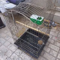 قفس آهنی با لوازم|لوازم جانبی حیوانات|مشهد, نیروی هوایی|دیوار