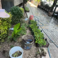 باغبانی وکشاورزی