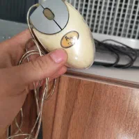 مانیتور همراه کیبورد|قطعات و لوازم جانبی رایانه|اصفهان, برازنده|دیوار