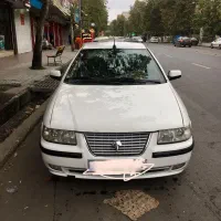 سمندسفید ۹۳