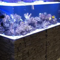 نصب و خدمات آکواریم|ماهی|تهران, امیرآباد|دیوار