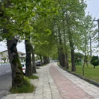 زمین-مسکونی-500-متر-تربگوده