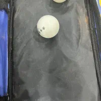 راکت تنیس روی میز|تجهیزات ورزشی|ارومیه, |دیوار