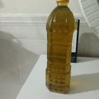 فروش روغن زیتون کلی وجزی فرآوری شده از باغات طارم