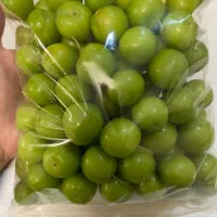 گوجه سبز‌ درجه یک