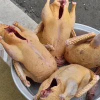 (خروس  بوقلمون   اردک)  پاک شده