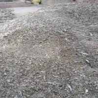 کود کبوتر
