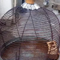 قفس پرنده|لوازم جانبی حیوانات|شیراز, شهرک صنعتی شیراز|دیوار