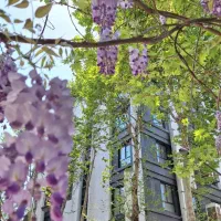 سرایدار و نظافت