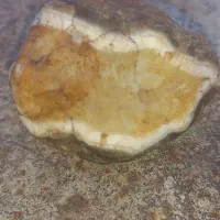 سنگ شجر سلیمانی