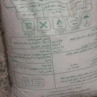 کوت سفیده دانه ریز|گل و گیاه طبیعی|اندیمشک, |دیوار