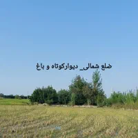 فروش زمین کشاورزی|فروش زمین و ملک کلنگی|زرگرشهر, |دیوار