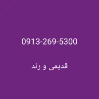 ۰۹۱۳۲۶۹۵۳۰۰