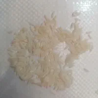 برنج طارم هاشمی اعلا|خوردنی و آشامیدنی|محمودآباد, |دیوار