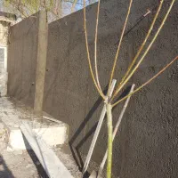 استا بنا در شاندیز