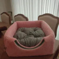 جای خواب گربه