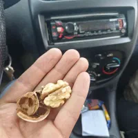 گردوی درجه ۱|خوردنی و آشامیدنی|تهران, سعادت‌آباد|دیوار