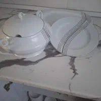 بشقاب ودیس.وظروف برای باغ