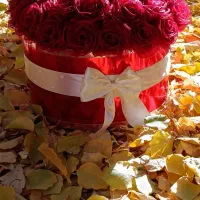 باکس گل ربانی|گل مصنوعی|اصفهان, رهنان|دیوار