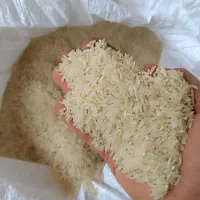 برنج فجر سوزنی و طارم هاشمی|خوردنی و آشامیدنی|گرگان, |دیوار