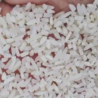 برنج طارم هاشمی|خوردنی و آشامیدنی|کرج, کوی مدرس|دیوار