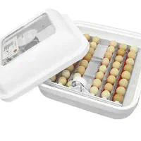 جوجه کشی ایزی باتور  ۱|لوازم جانبی حیوانات|یاسوج, |دیوار