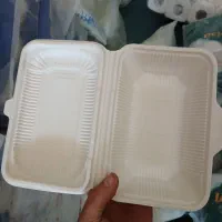 ظرف غذا گیاهی