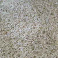 برنج چمپا محلی درجه یک