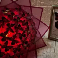 گمشده ها بوکت پروانه قرمز دلبری