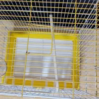 قفس|لوازم جانبی حیوانات|محمدشهر, محمدشهر|دیوار