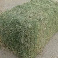 کاه یونجه پرس