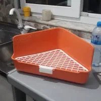 توالت/دستشویی/ظرف ادرار خرگوش|موش و خرگوش|فومن, |دیوار