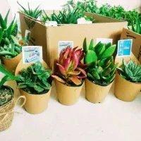 هدیه شب یلدا وروزپدر