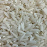 فروش برنج هاشمی گیلان
